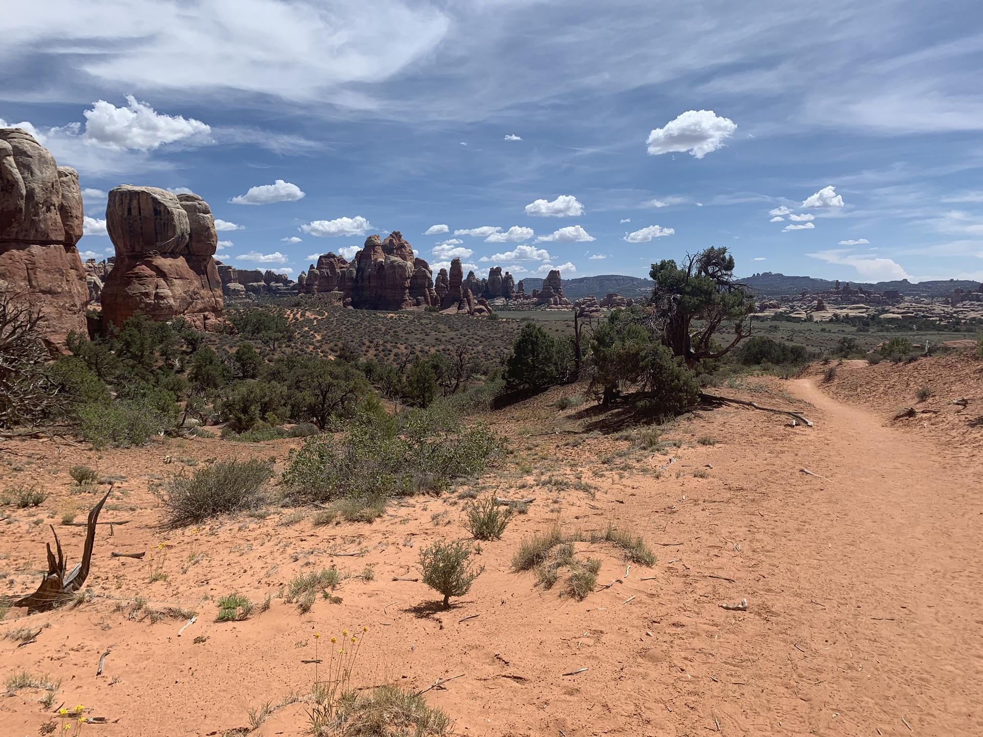 Desert trail winding through red sand with distant rock formations under blue sky.