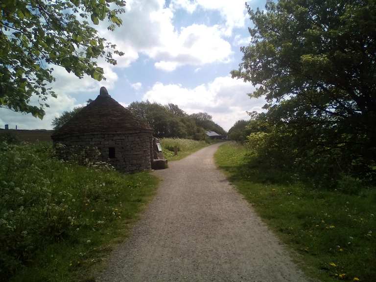 parsley hay cycle centre