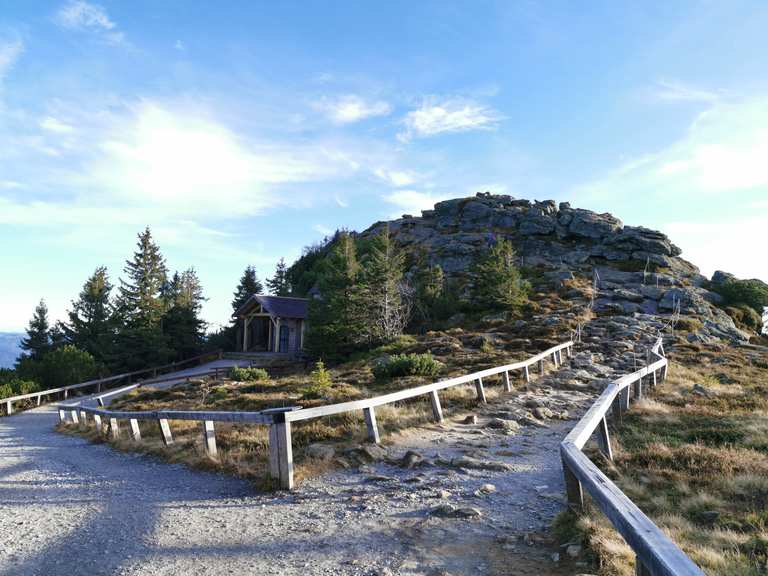 Großer Arbersee – Arber Gipfel Runde von Arberseehaus | Wanderung | Komoot