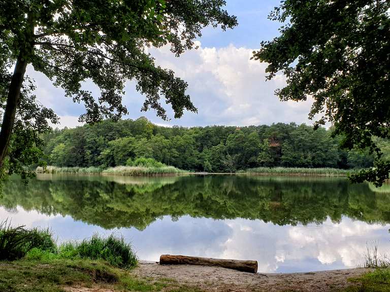 Großer Lienewitzsee Routes for Walking and Hiking | Komoot