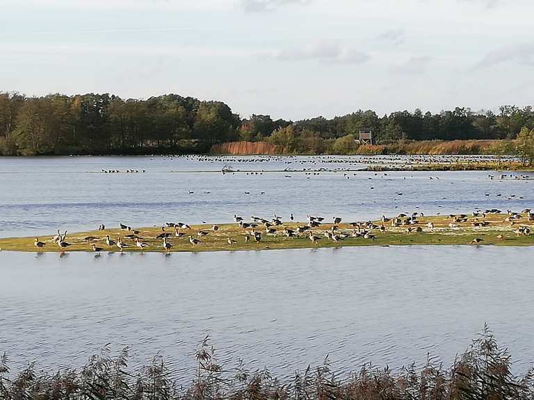 Meißendorfer Moor Radtouren und Radwege komoot