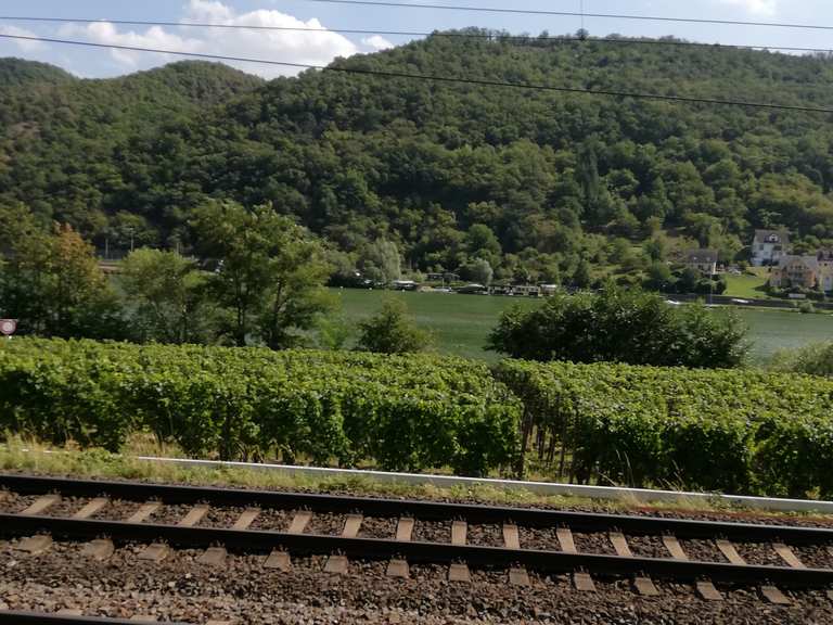 Moselradweg von Cochem nach Koblenz Hatzenport, Mayen