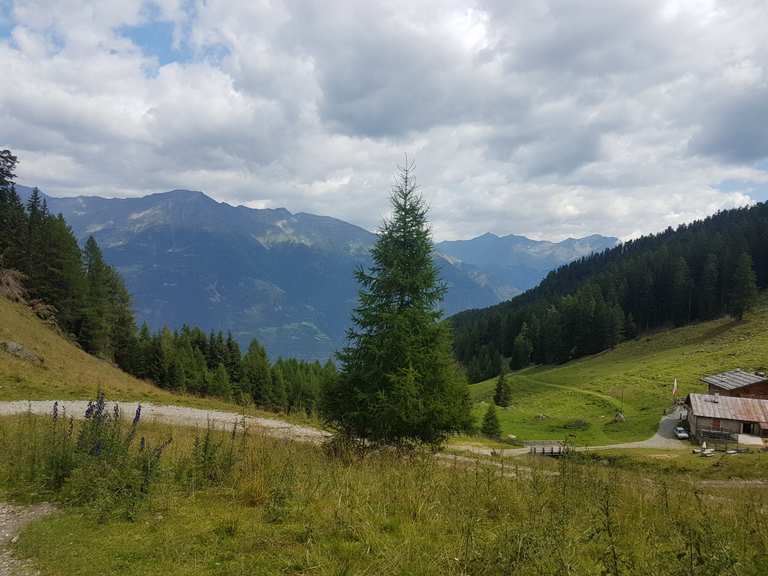 Latscher Alm - Mountain Bike Trails & Tracks | Komoot