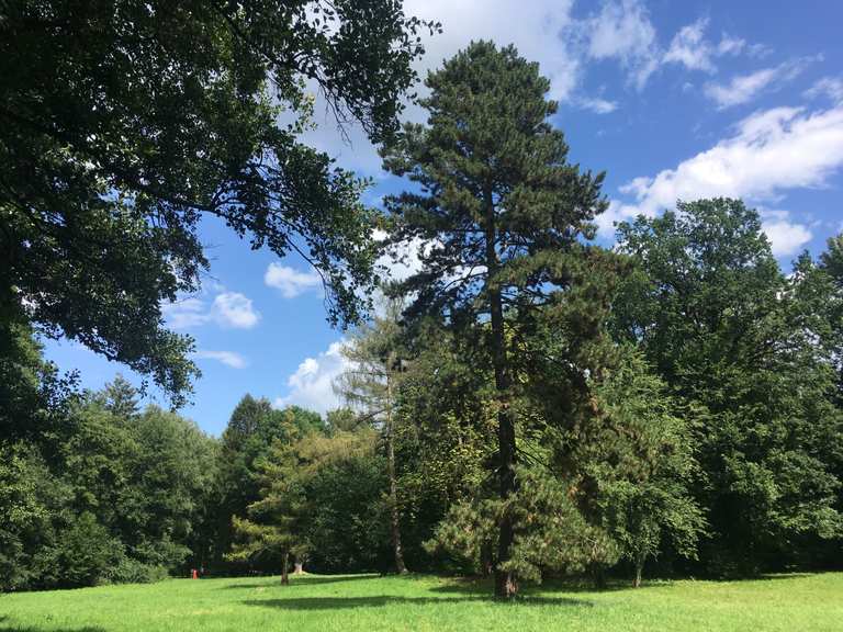 Freilaufende Rinder Karower Teiche Loop from Schönow hike Komoot