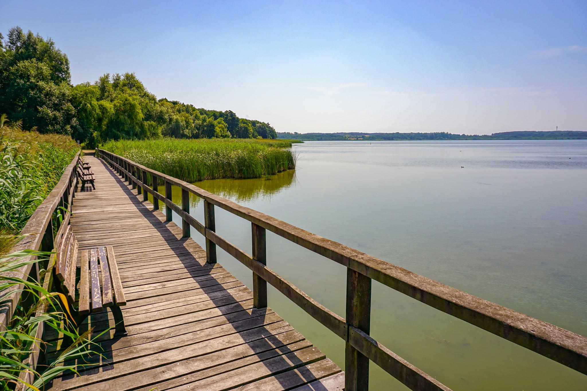 Bohlensteg Am Blankensee: Wanderungen Und Rundwege | Komoot