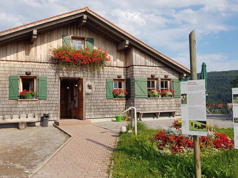 PanoramaHütte Wanderungen und Rundwege komoot