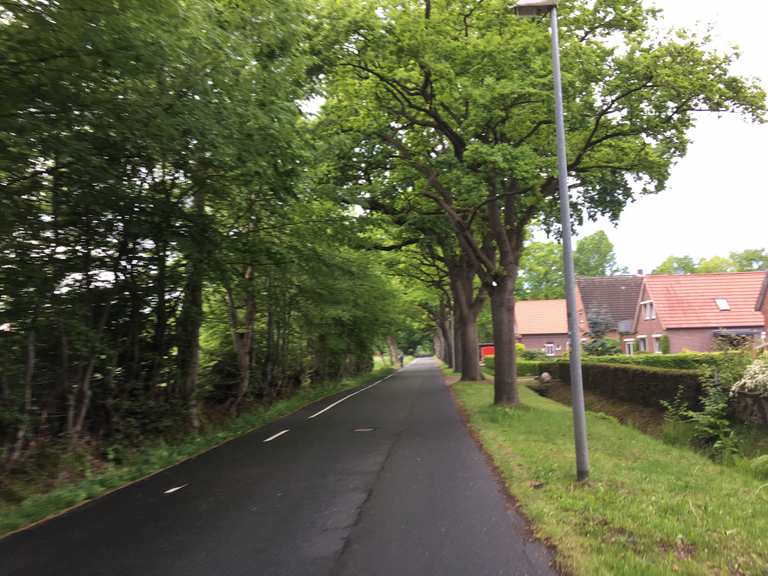 Swarte Moor BürgerfelderTeich Runde von OldenburgWechloy