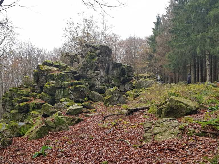 Großer Wolfstein Wanderungen und Rundwege komoot