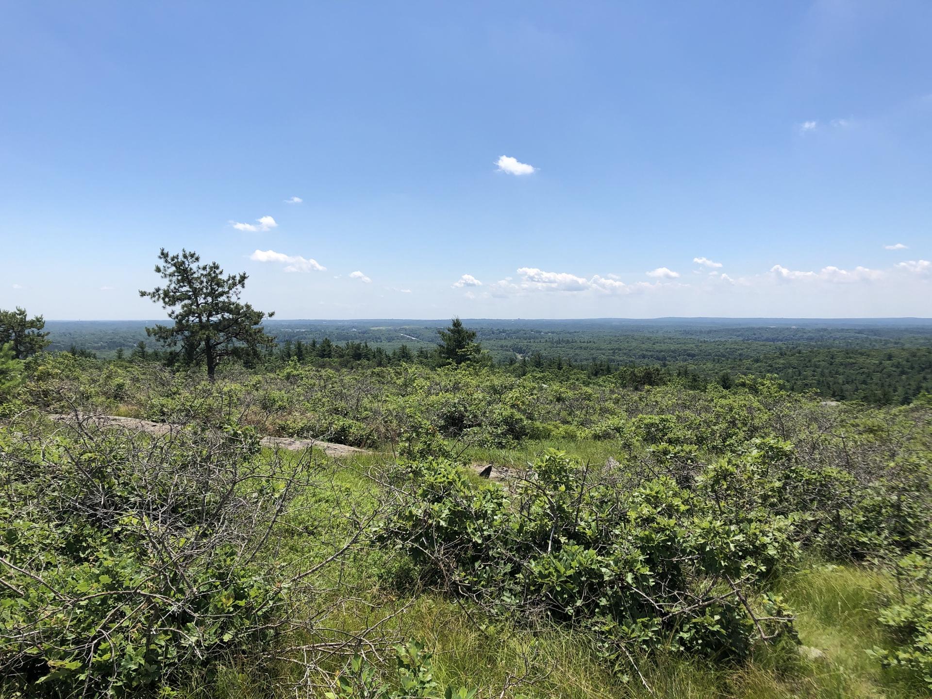 Expansive green forested landscape under a bright blue sky with scattered clouds.