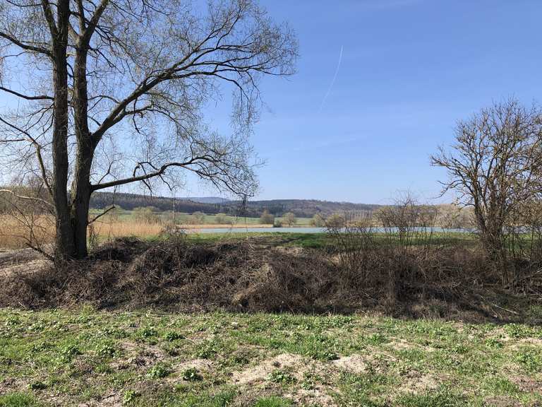 Reinhardsbrunner Teiche MountainbikeTouren und Trails komoot