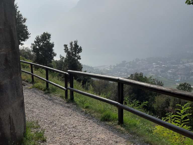 monte brione fahrrad