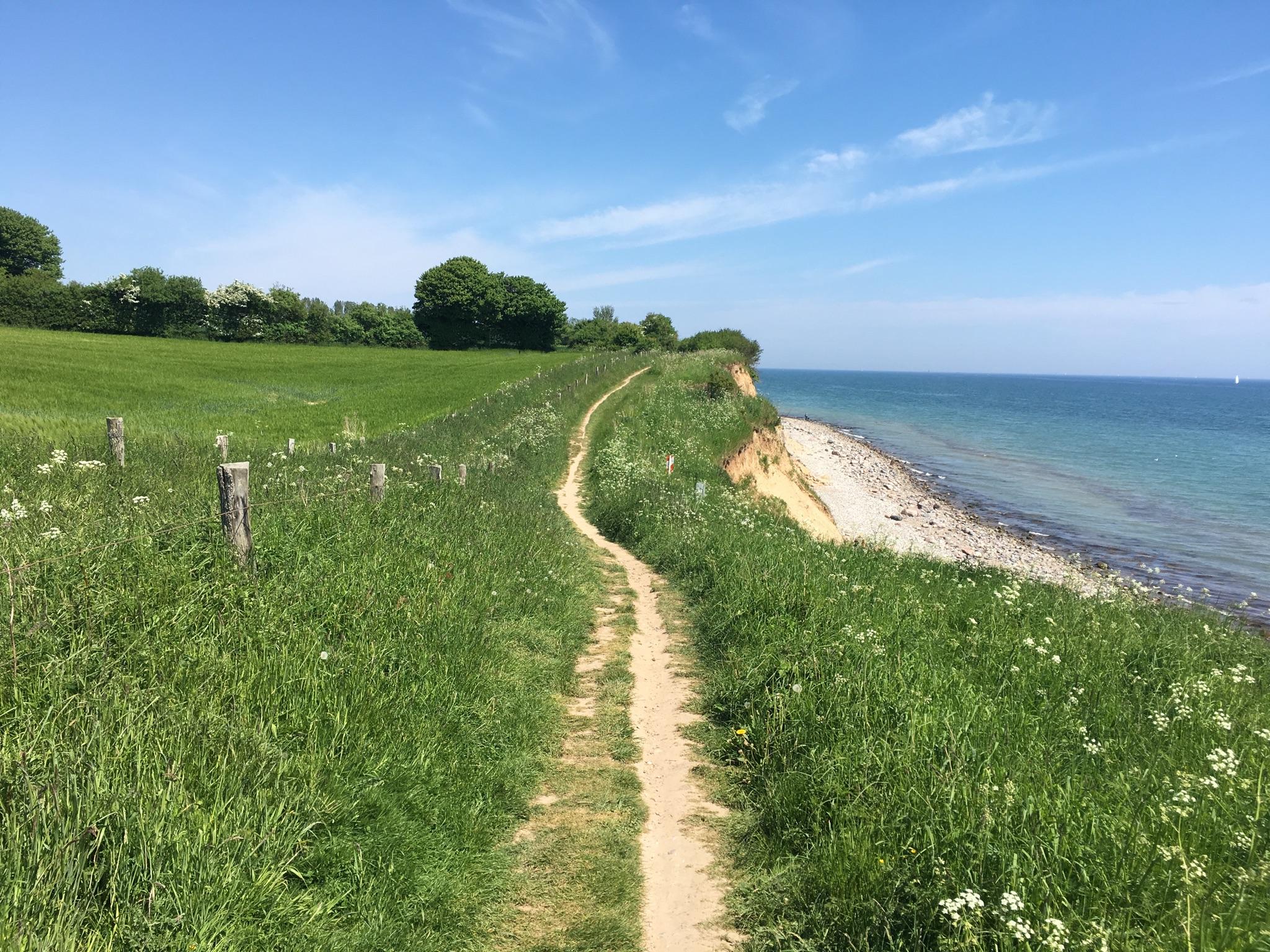 Entlang der Steilküste bei Waabs – Wandern am Ostseefjord Schlei