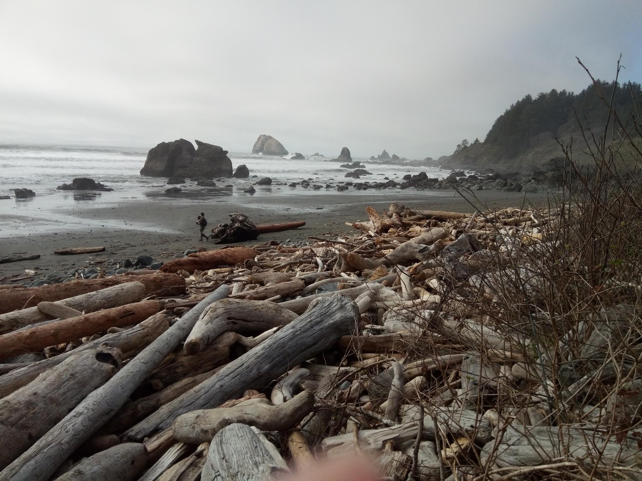 Driftwood-covered beach with a person, ocean, and rocky coastline.