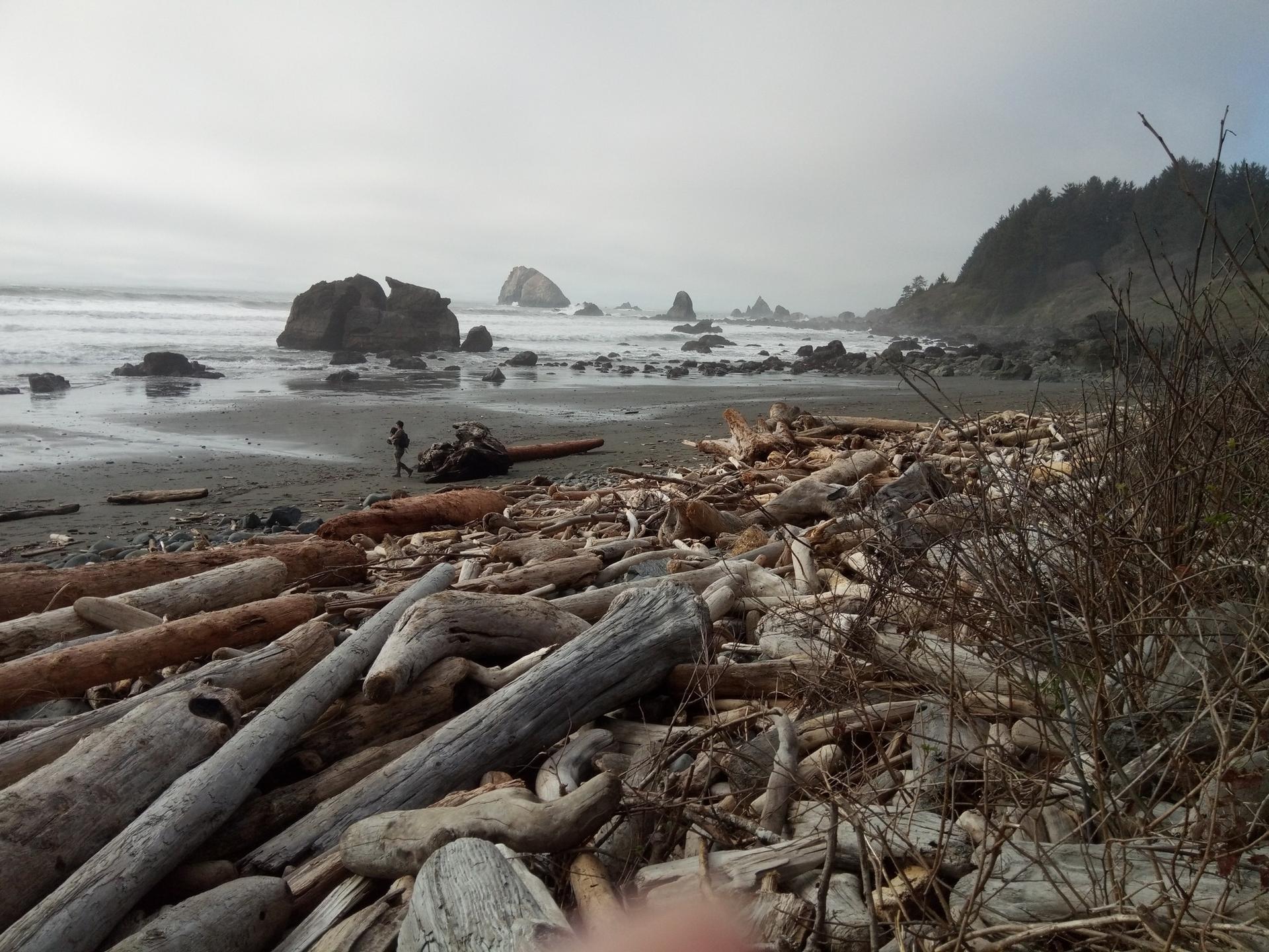Driftwood-covered beach with a person, ocean, and rocky coastline.