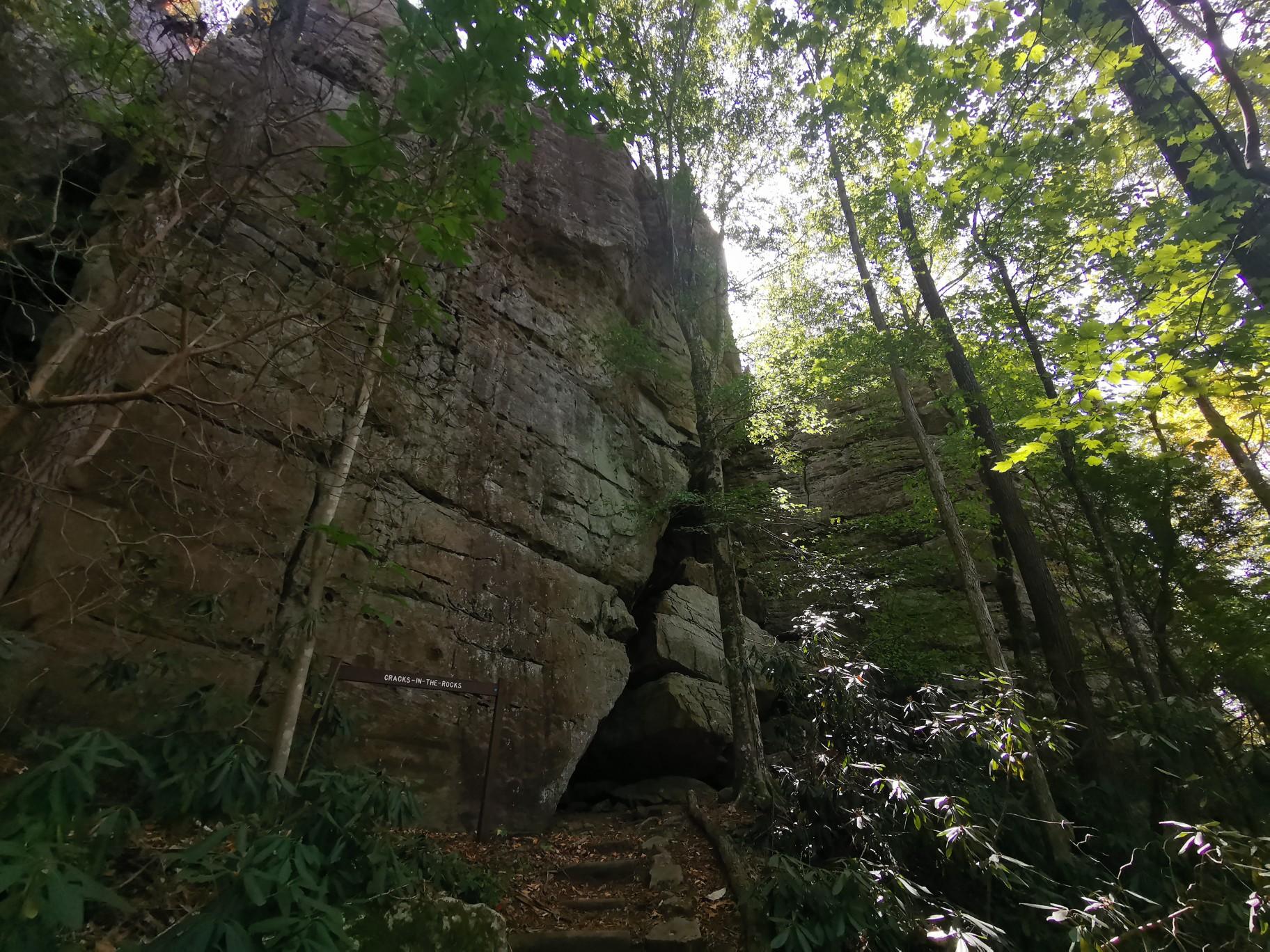 Towering rock cliff face in a sun-dappled forest, viewed from below.