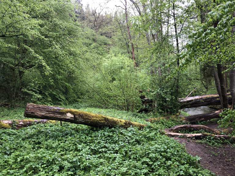Siebenmühlental Wanderungen und Rundwege komoot