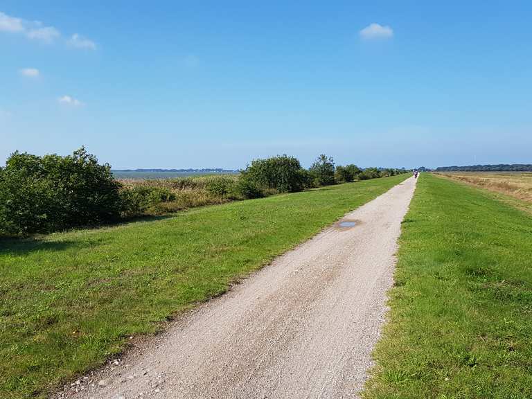 nationalpark vorpommersche boddenlandschaft fahrrad