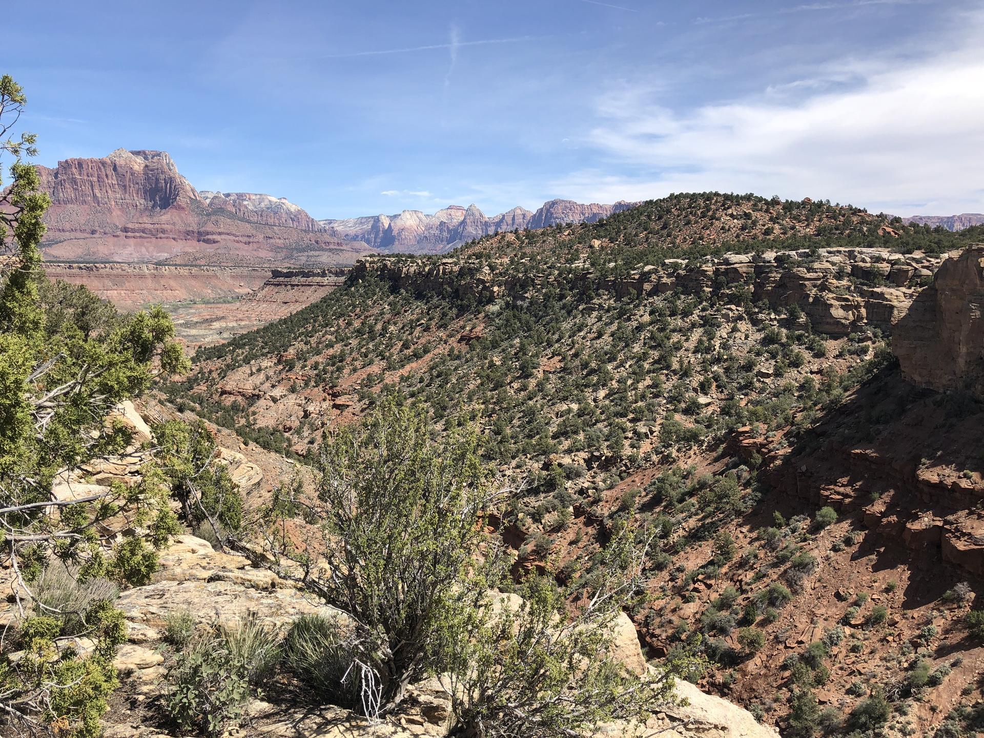 Vast desert canyon with red rock formations, green brush, and distant mountains.