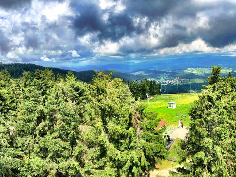 Geißkopf MountainbikeTouren und Trails komoot