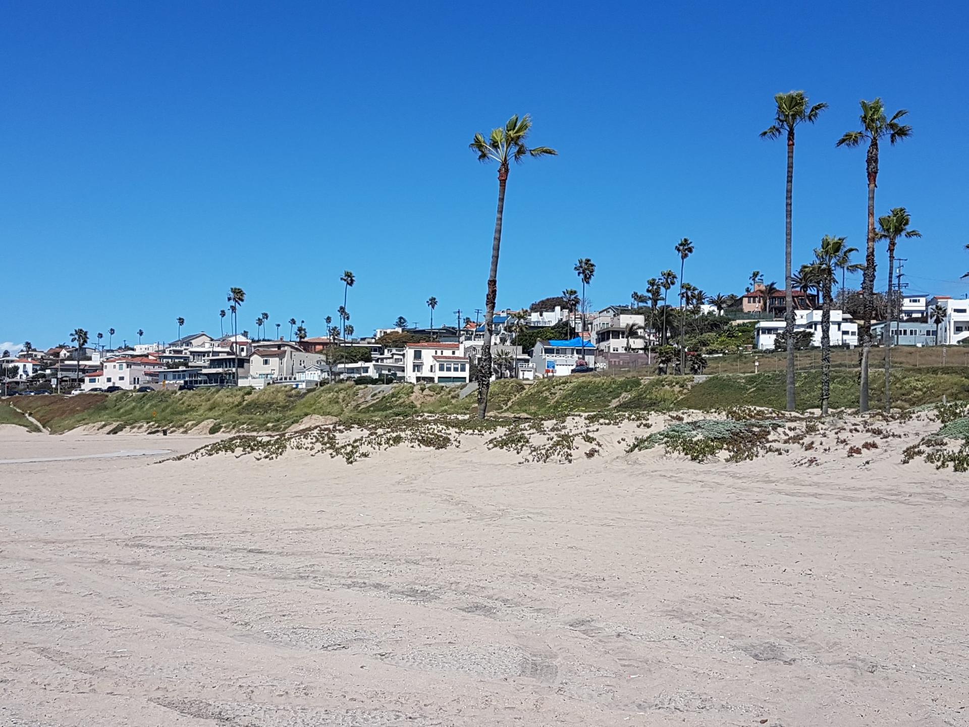 Wide sandy beach with houses and palm trees on a sunny hill.