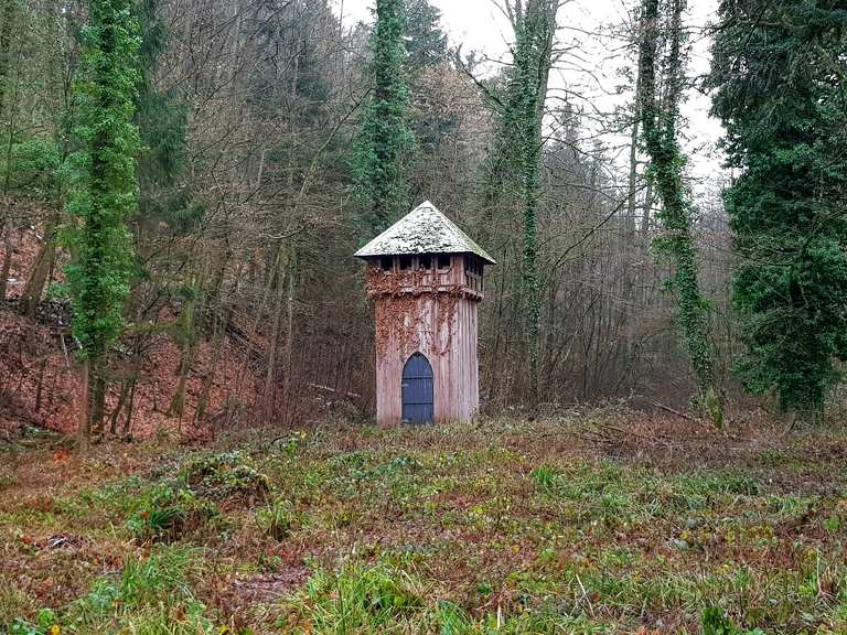 Herrschaftlicher Jagdturm Wanderungen und Rundwege komoot
