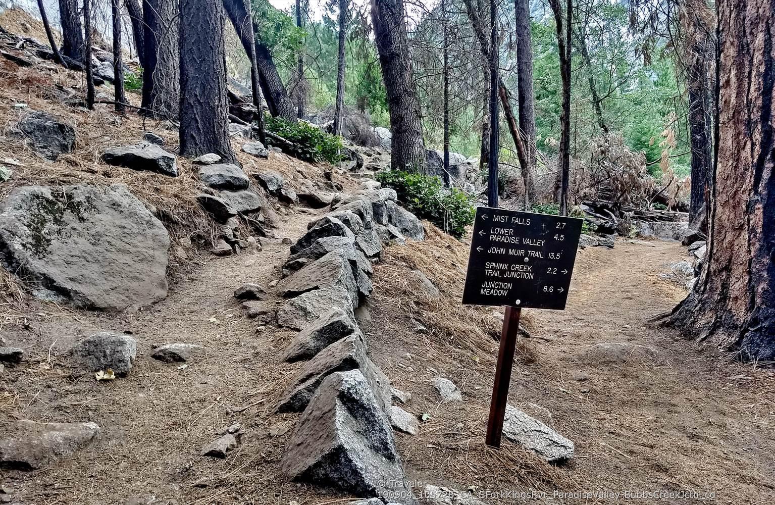 Dirt trail with rock wall, pine trees, and a wooden trail sign.