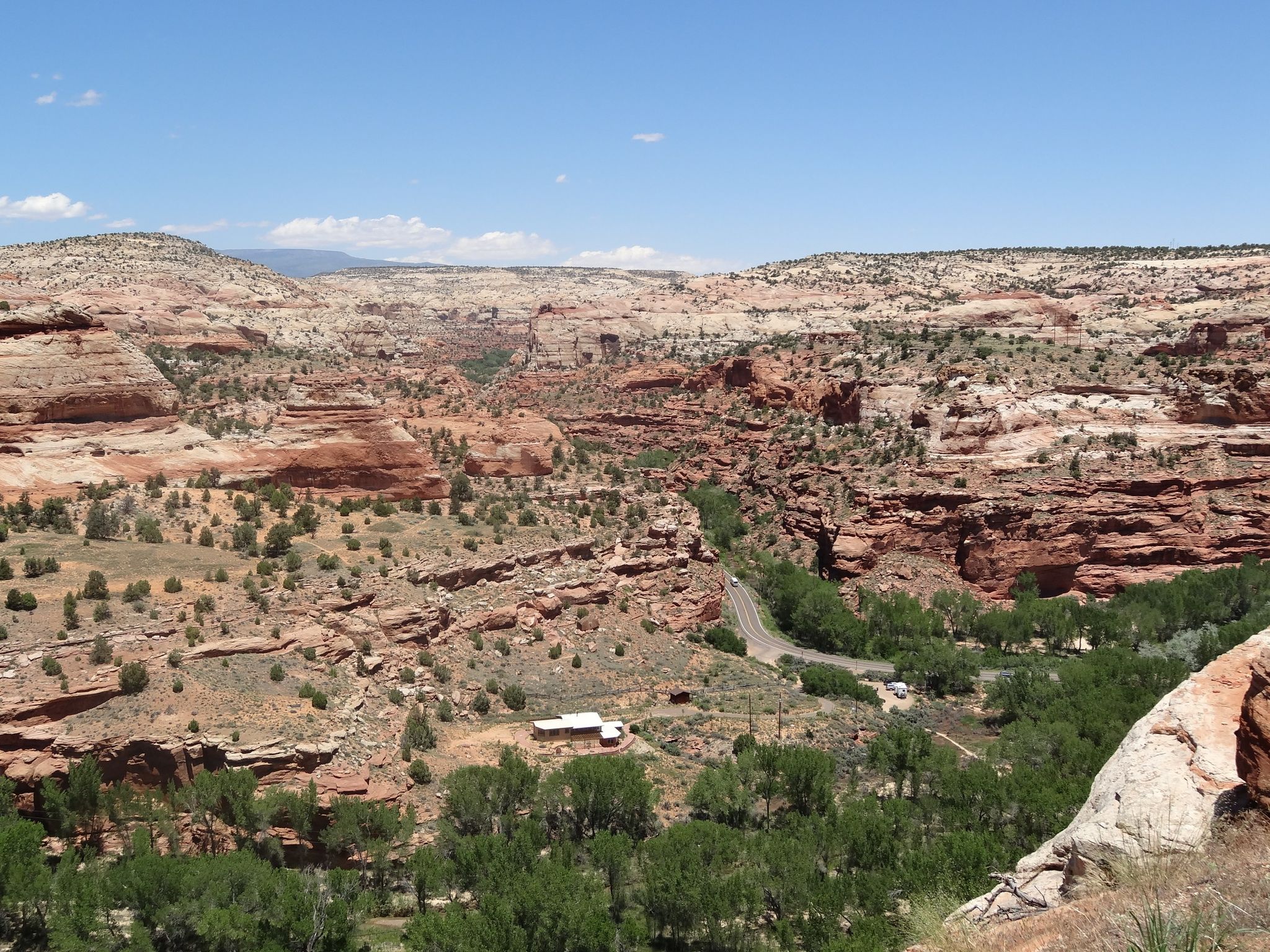 Deep red rock canyon with a winding road and green trees below. - Boulder to Escalante Cycle Route