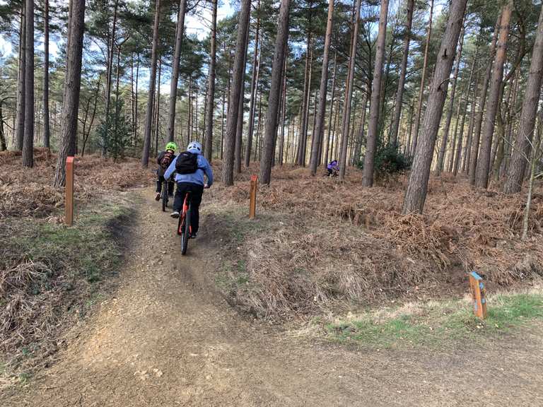 swinley forest mtb trails