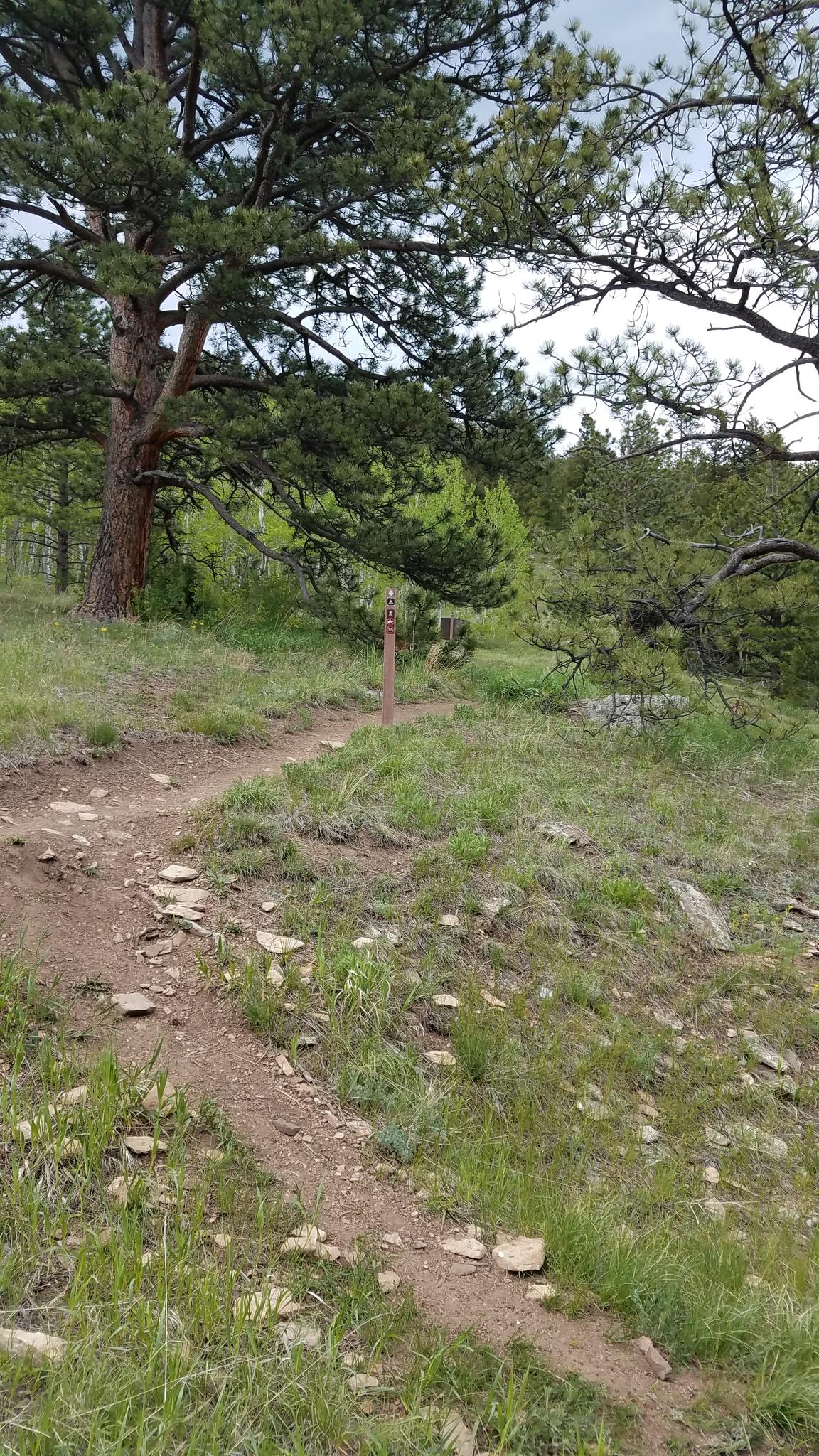 A narrow dirt trail winds through a green, rocky forest under an overcast sky.