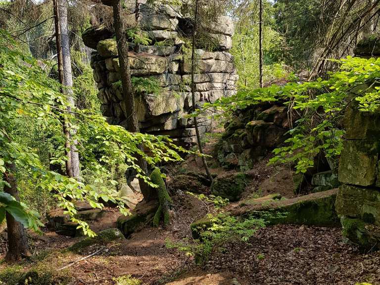 Ruine Hirschstein Wanderungen und Rundwege komoot