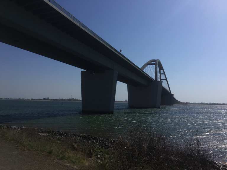 darf man mit dem fahrrad über die fehmarnsundbrücke