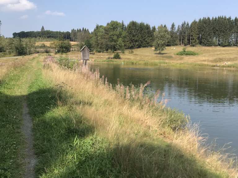 Unterer Spiegeltaler Teich Schalker Teich Runde von Schulenberg