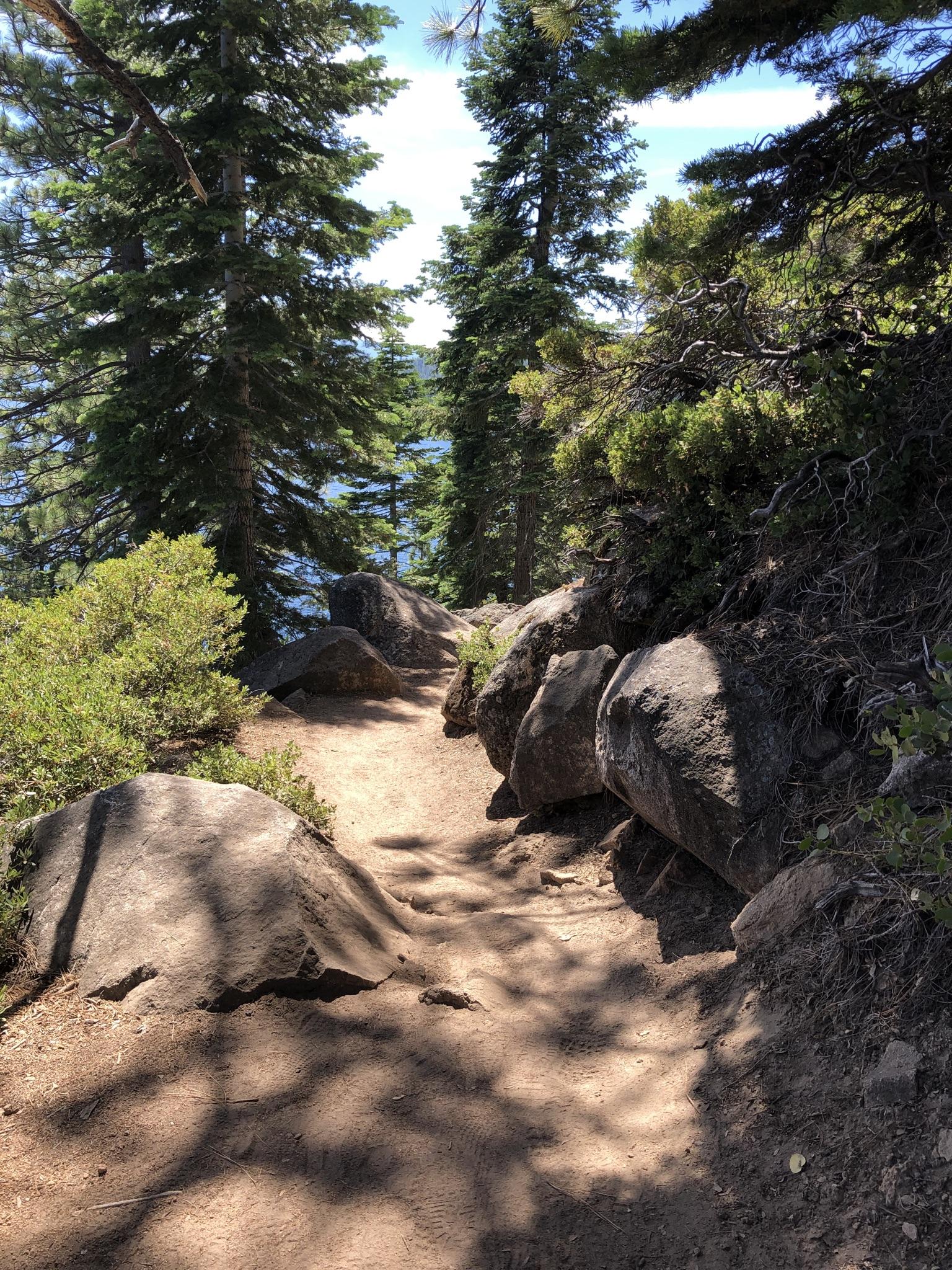 Shaded dirt path winding through large rocks and tall pine trees.