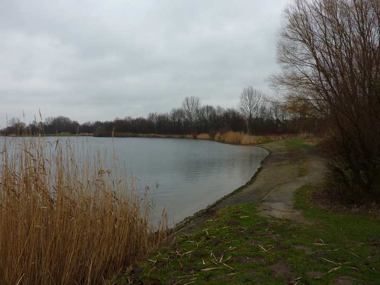 Giftener Teiche Radtouren und Radwege komoot