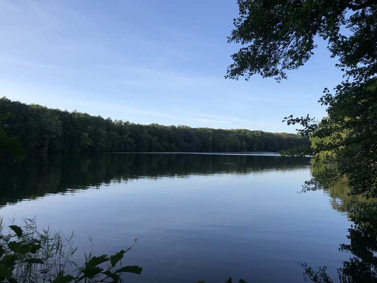 Schlachtensee: Wanderungen und Rundwege | komoot
