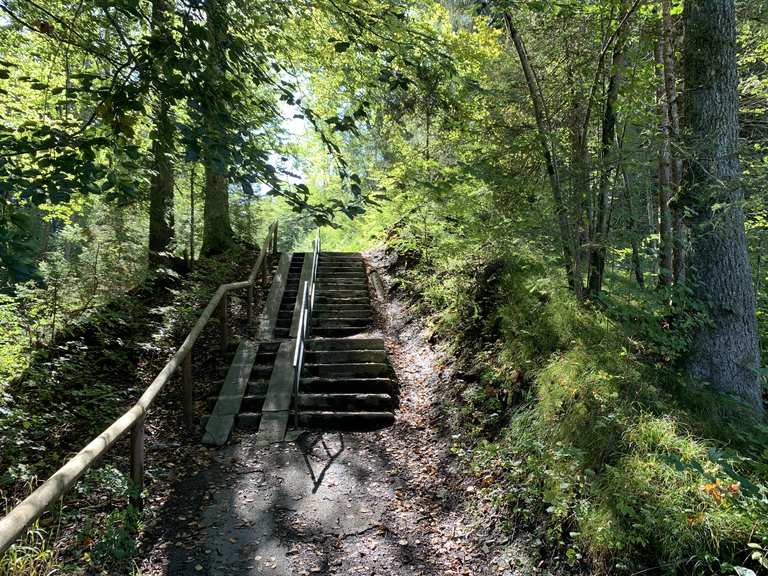 7 schwaben radweg fahrrad