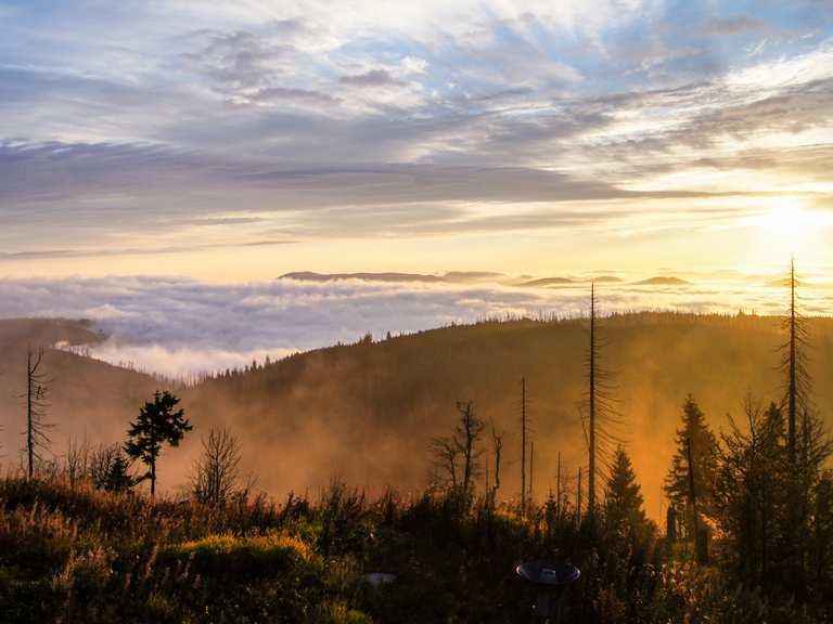 Lusen Routes for Walking and Hiking | Komoot