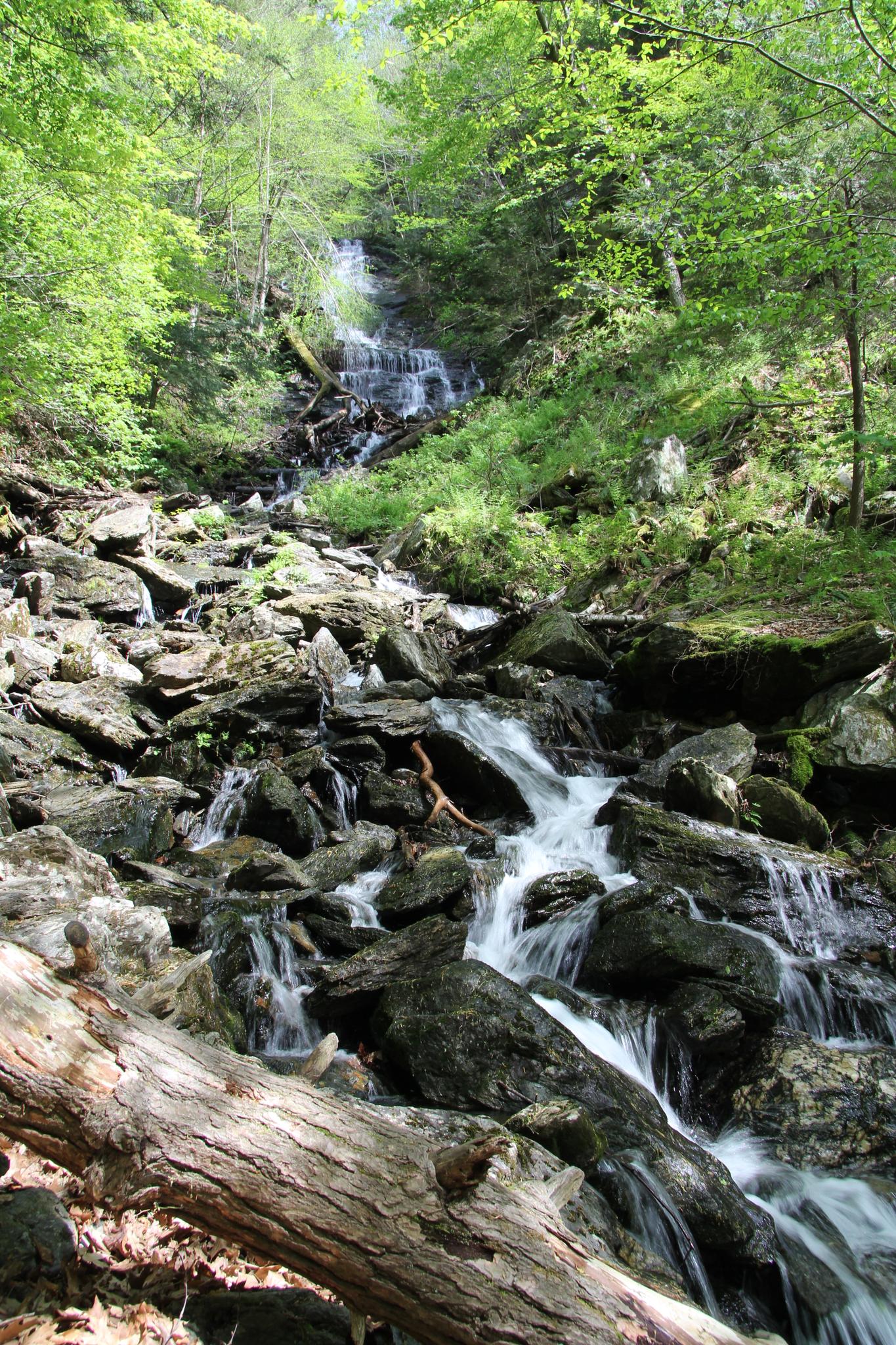 Waterfall cascades over large rocks in a lush, sun-dappled forest.