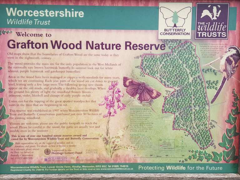 Grafton Woods (Nature Reserve) Routes for Walking and Hiking Komoot