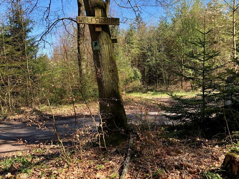 Wolfsgrube MountainbikeTouren und Trails komoot