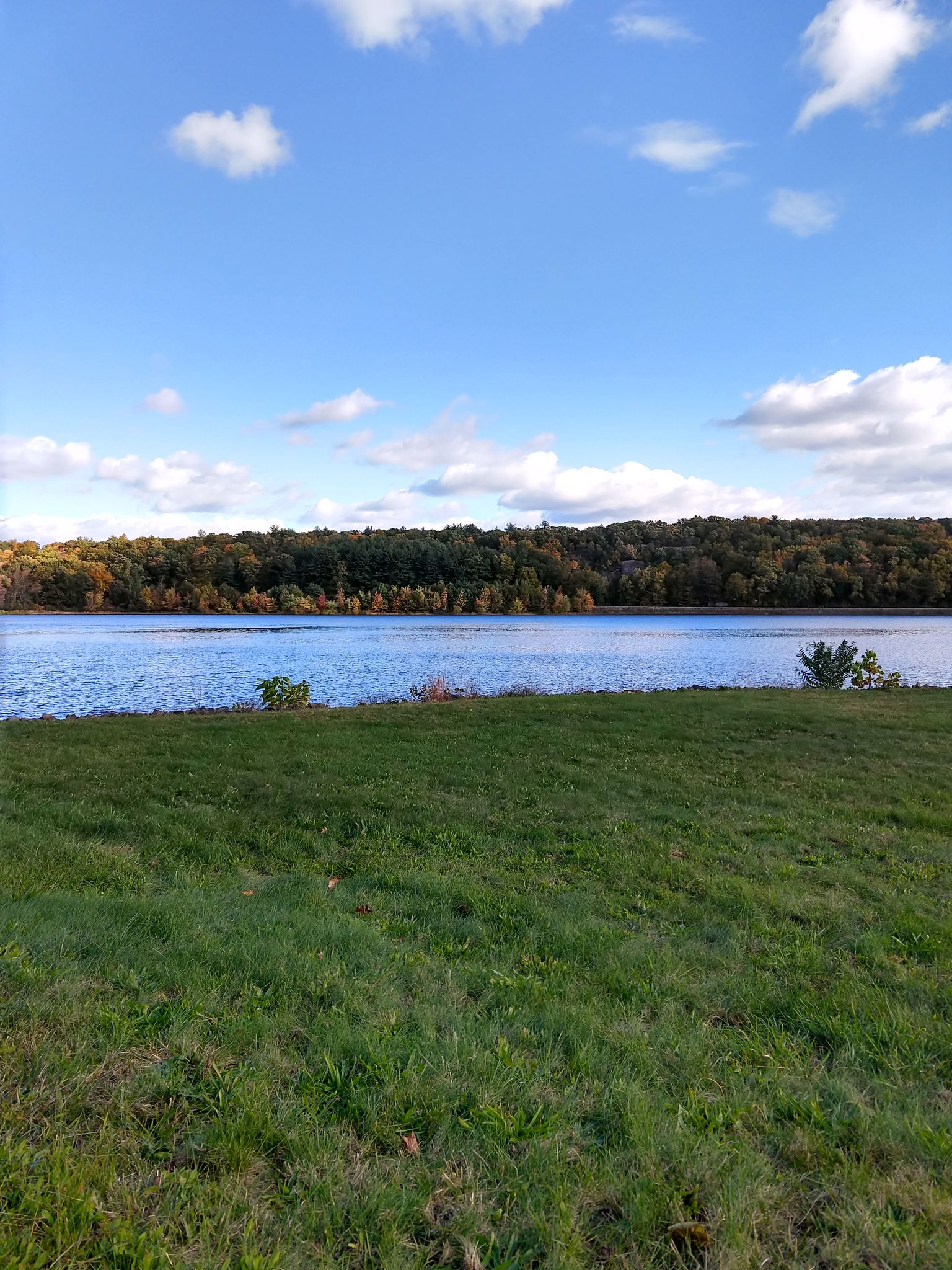 Green grass in the foreground, a calm lake, and a distant treeline under a blue sky. - Shuttle Meadow Reservoir – Crescent Lake Park loop from Kensington