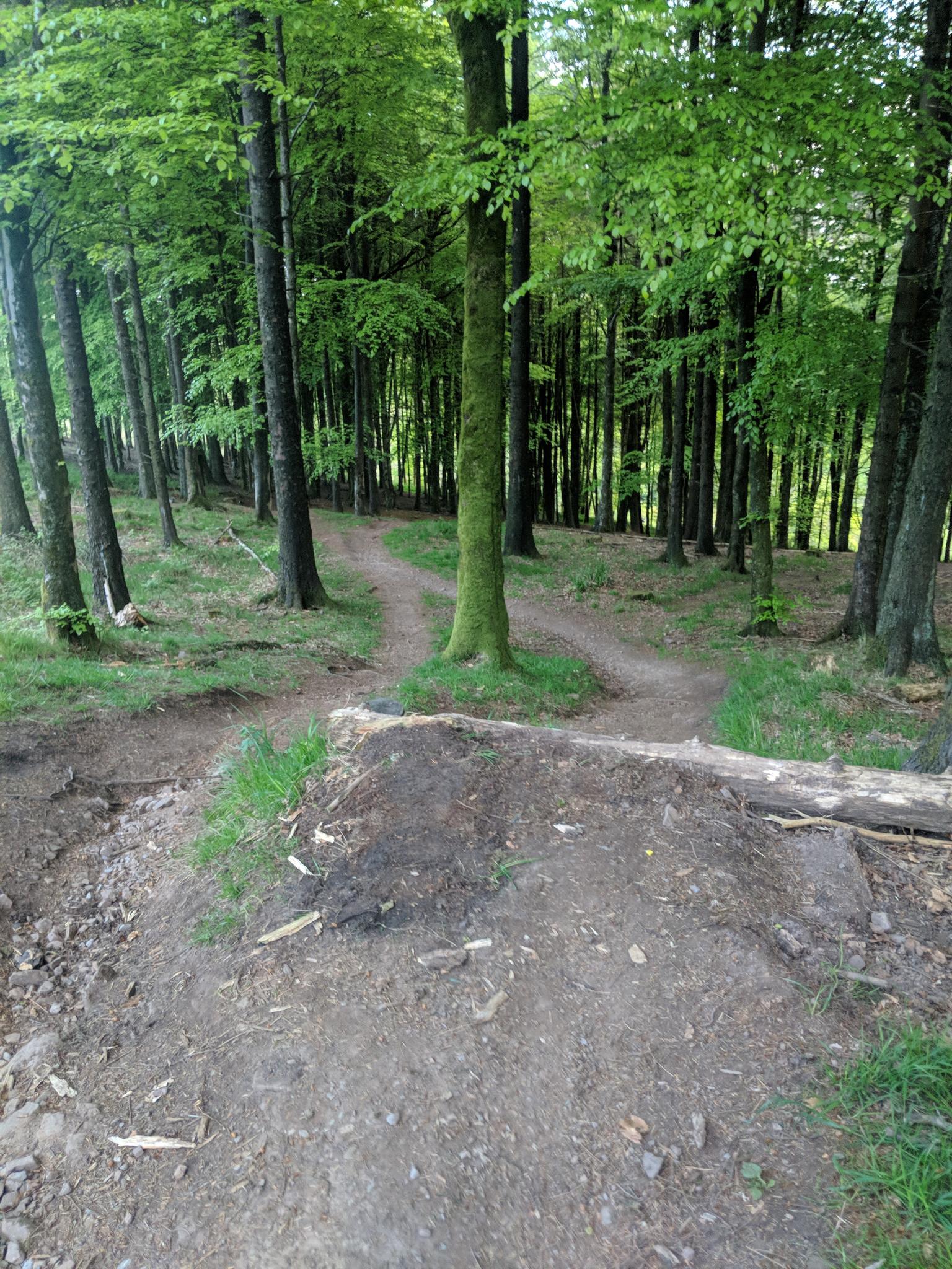 rowberrow warren mtb trails