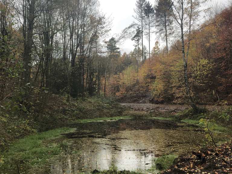 Sieben Teiche Routes for Walking and Hiking Komoot
