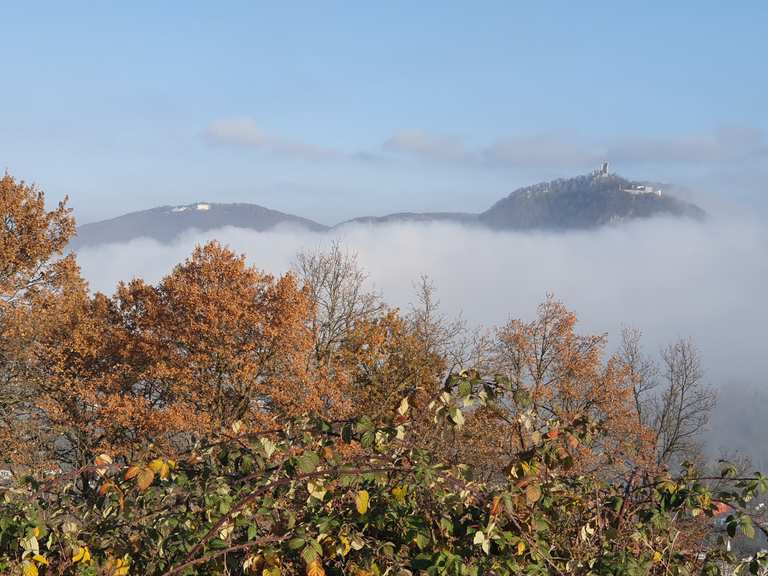 Rodderberg Vulkan und Naturschutzgebiet Runde von Mehlem Wanderung