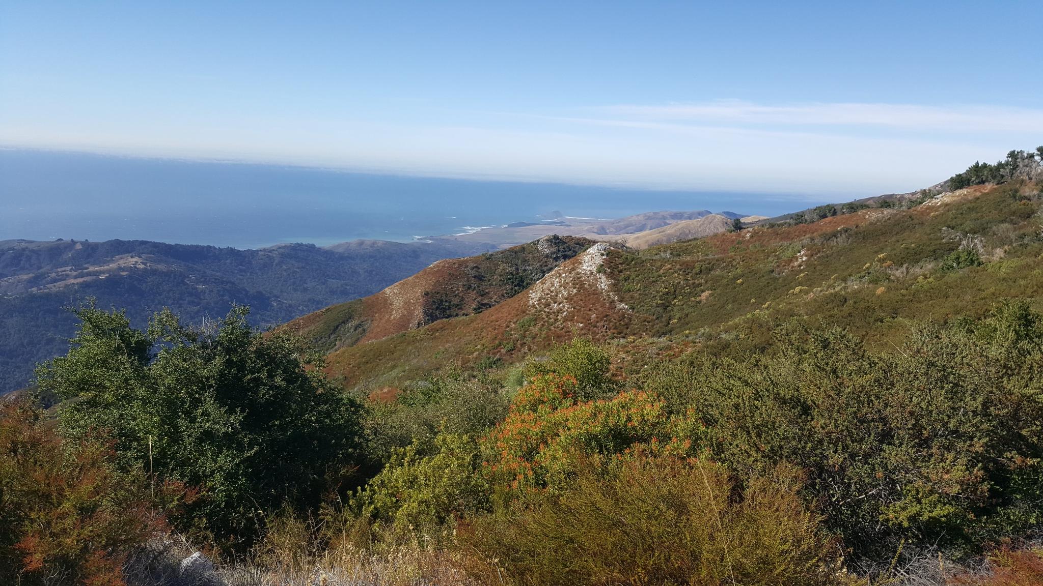 Expansive view of sunlit, vegetated mountains meeting a vast blue ocean.