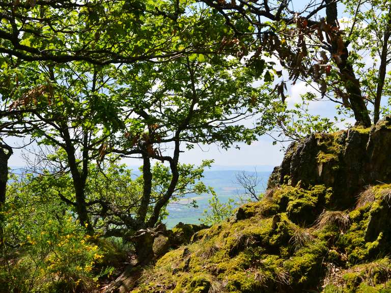 Beutelfelsen - Eiserner Mann Routes for Walking and Hiking | Komoot