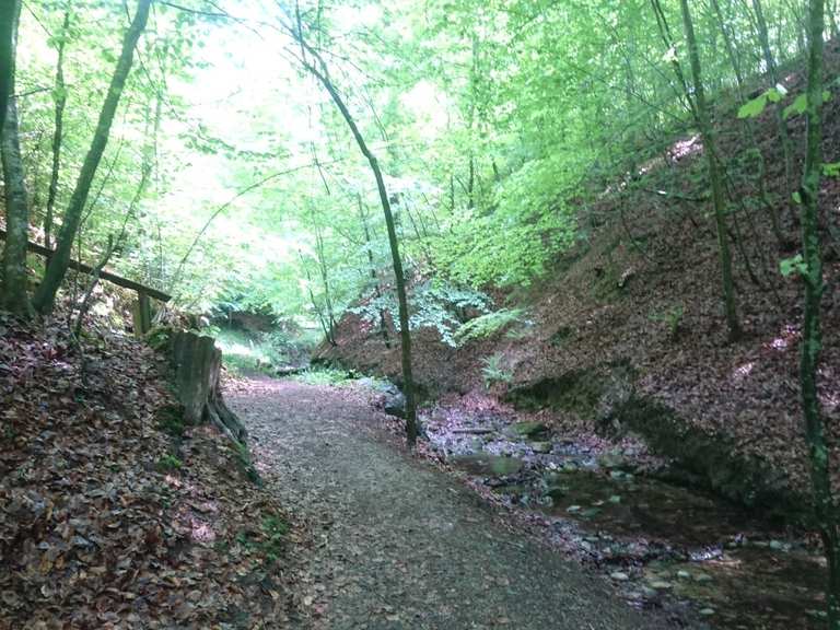 Gehautobel Meersburg - Mountain Bike Trails & Tracks | Komoot