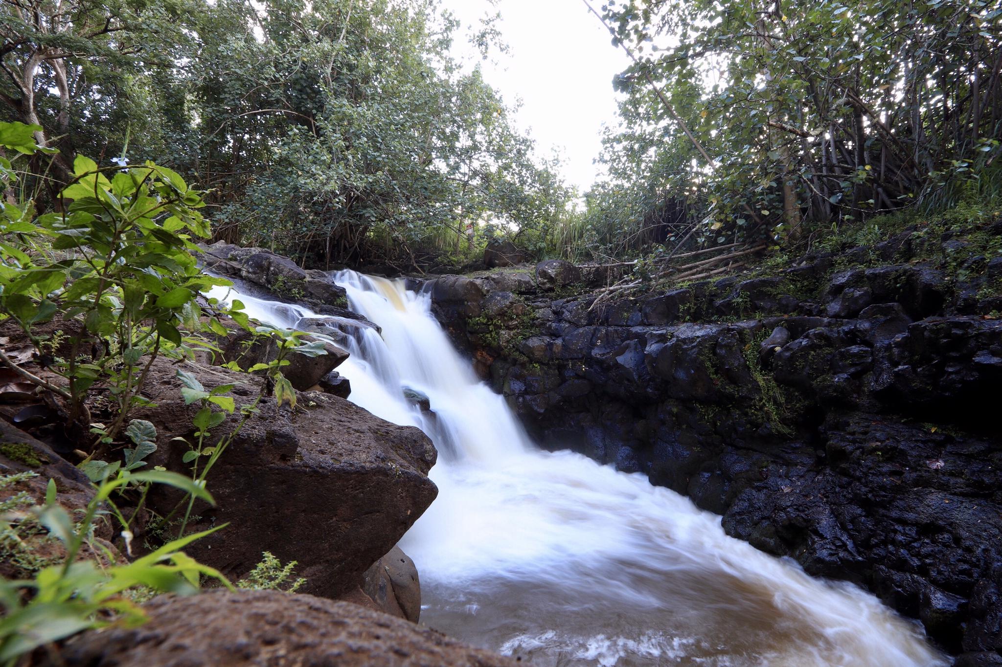 A waterfall flows over dark rocks into a river, surrounded by dense forest.