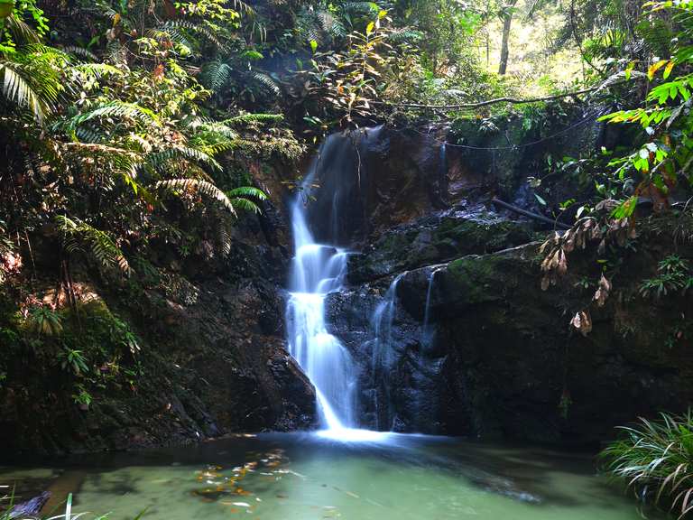 Bukit Wawasan Waterfall 4 Routes for Walking and Hiking | Komoot