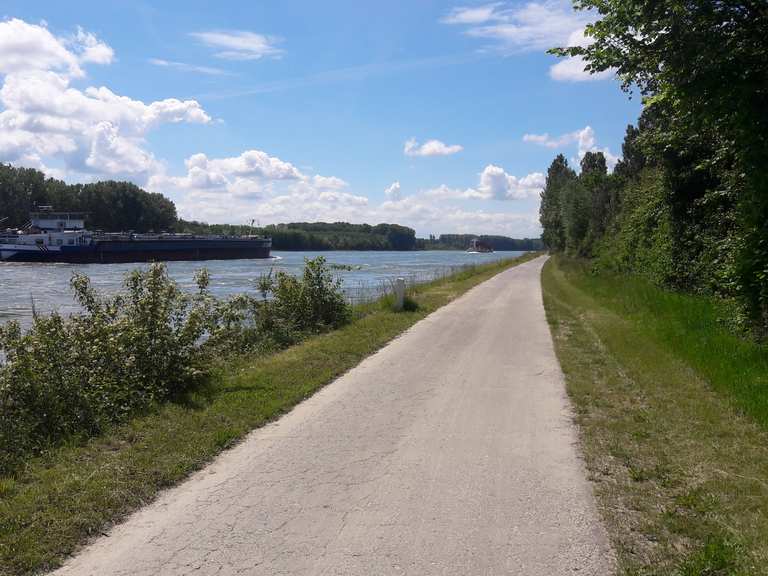 direkt am Rhein entlang Kurpfalz, Deutschland